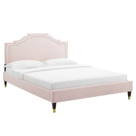 Adelaide Performance Velvet Full Platform Bed By Modway - MOD-6857 - Pink