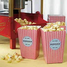 NOVELTY POPCORN CARTONS (12/pkg)